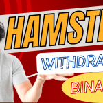 How To Withdraw Hamster Kombat Coin